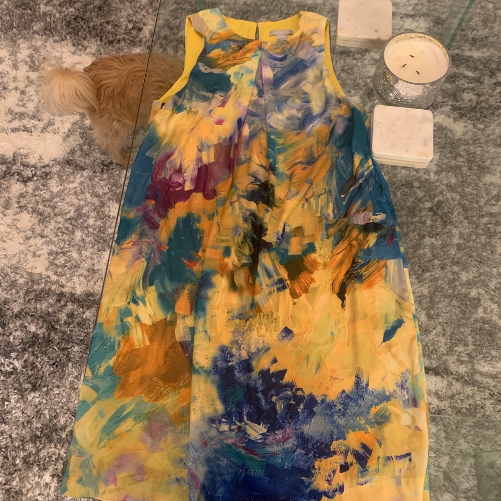 Multi Colored Dress